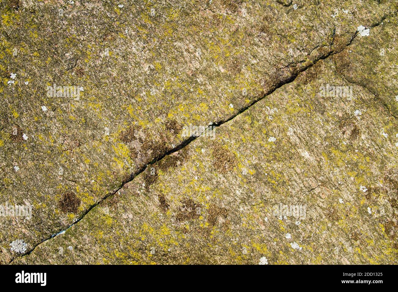 Zerbrochenes Granitgestein, das mit Algen und Ligenen gewachsen ist Stockfoto