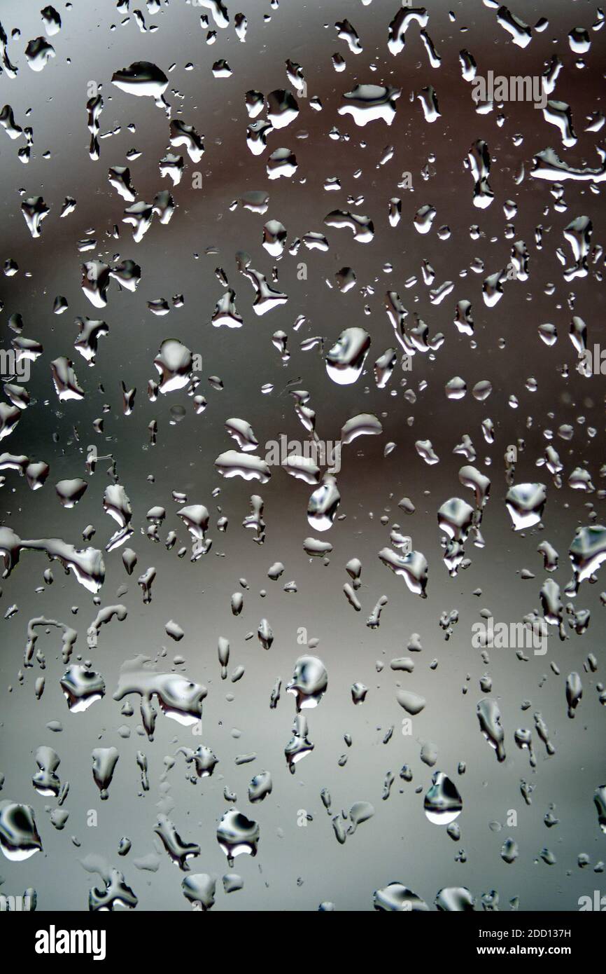 Nahaufnahme von Regentropfen auf dem Fenster gegen ein weiches Grau Ungleichmäßiger Hintergrund Stockfoto
