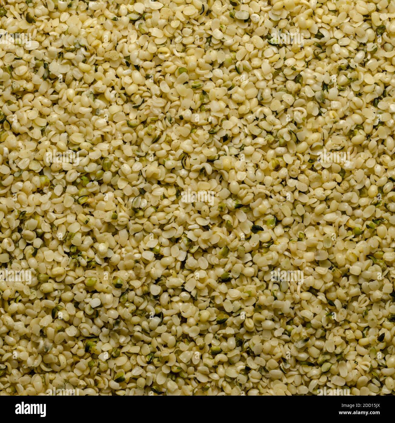 Geschälte Hanfsamen. Quadratischer Hintergrund und Oberfläche von rohen und essbaren Hanfsamen. Cannabis sativa, reich an Protein und eine große Quelle von Eisen. Stockfoto
