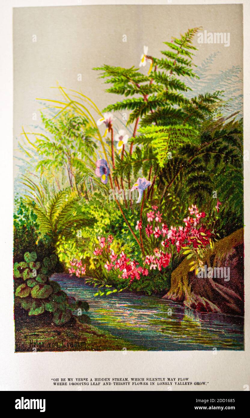 'Oh sei mein Vers ein verborgener Strom, der still fließen kann' florale Illustration von Helga von Cramm um 1881 aus Life Mosaic, Frances Ridley Havergal Stockfoto