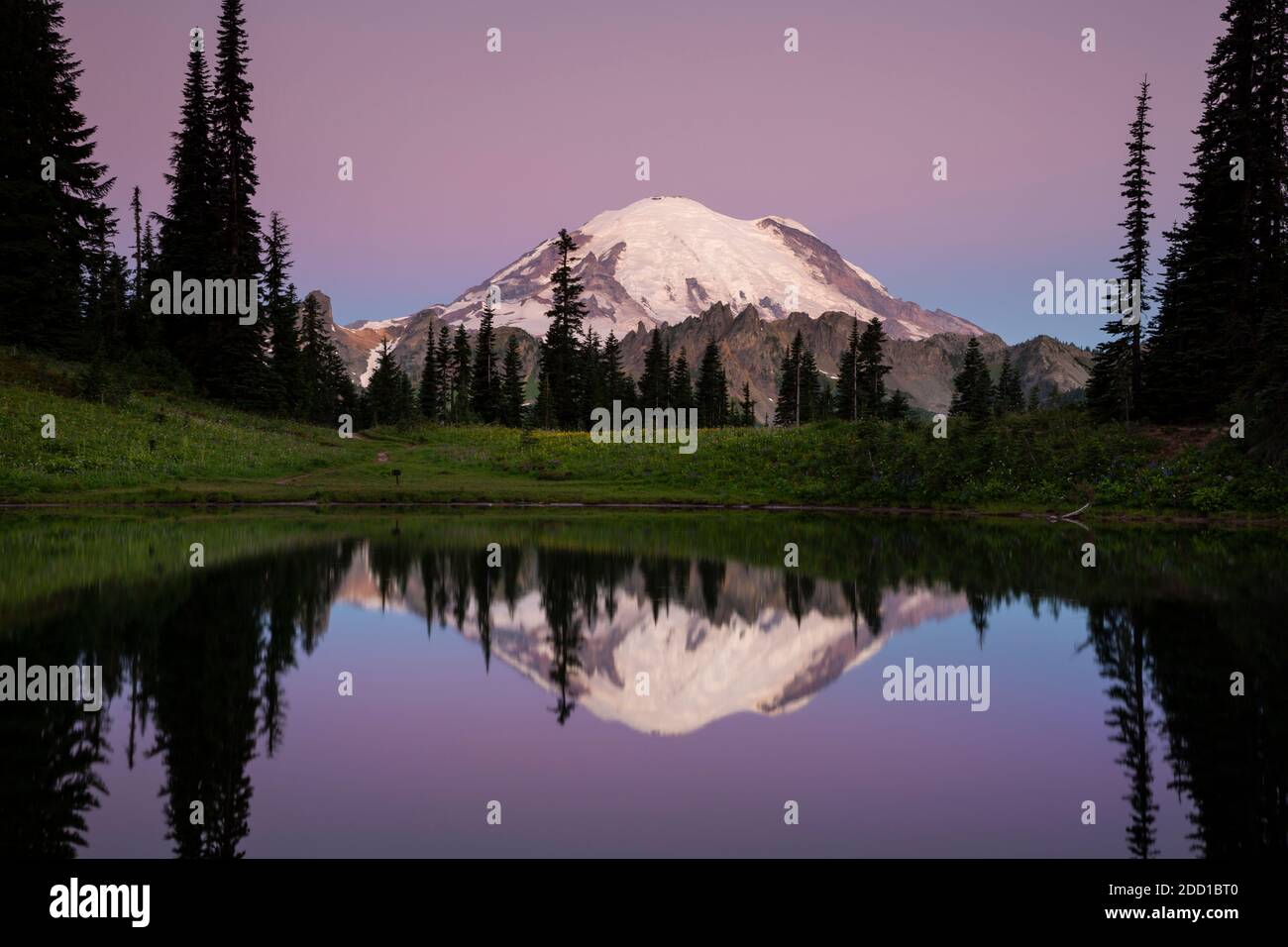 WA18430-00...WASHINGTON - Mount Rainier Reflecting in Tipsoo Lake at Dawn in Mount Rainier National Park. Stockfoto