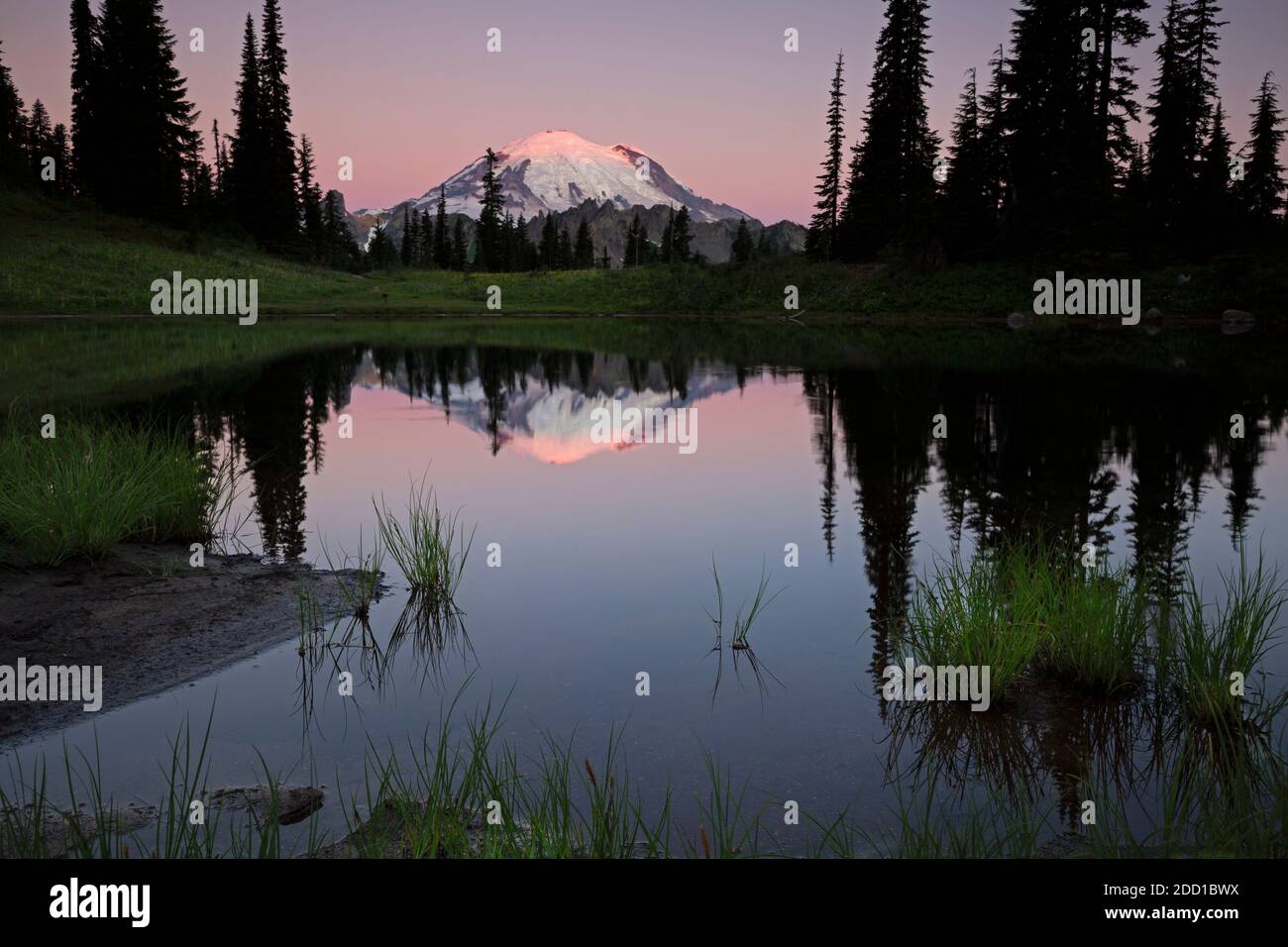 WA18431-00...WASHINGTON - Mount Rainier Reflecting in Tipsoo Lake at Sunrise in Mount Rainier National Park. Stockfoto