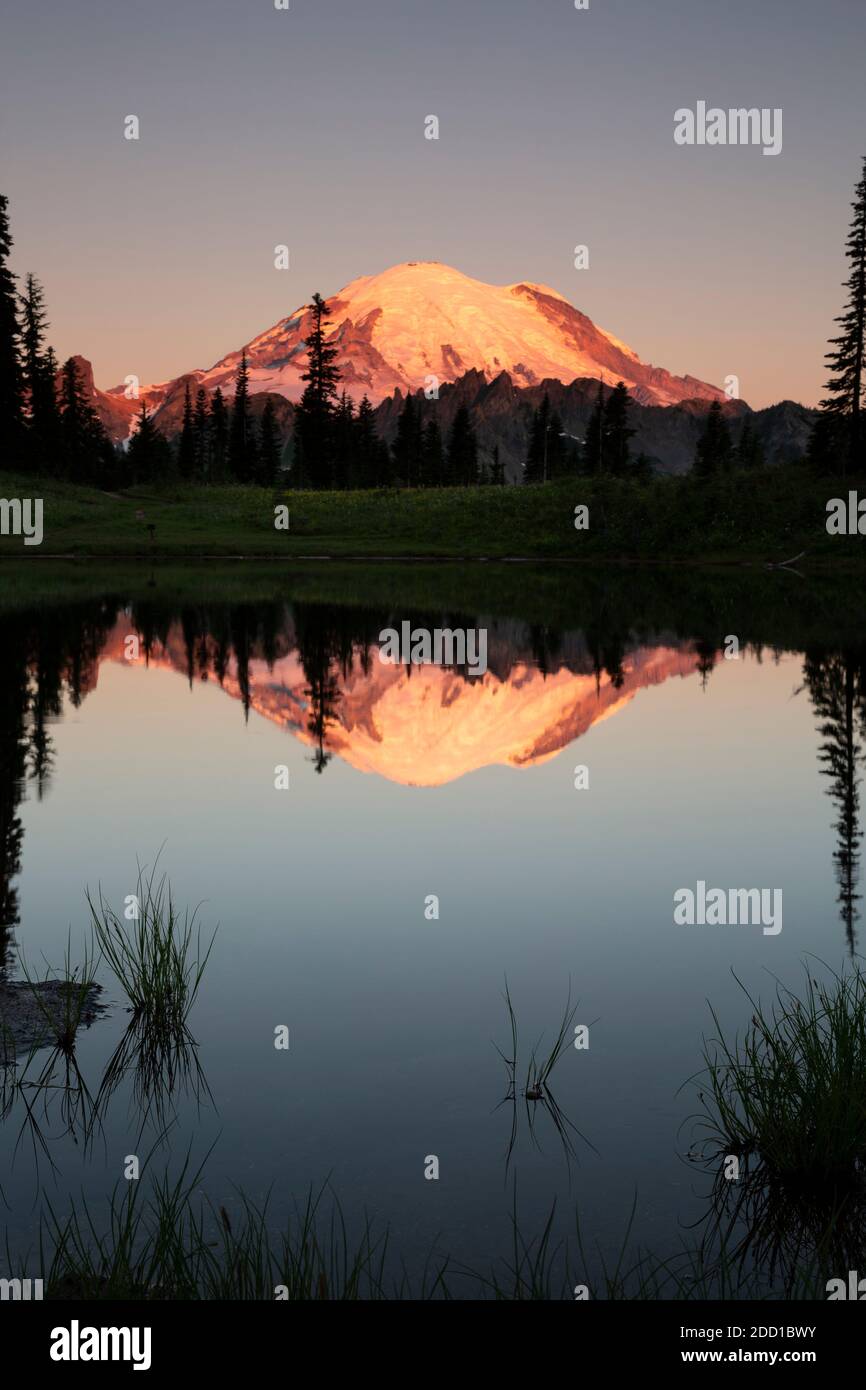 WA18432-00...WASHINGTON - Mount Rainier Reflecting in Tipsoo Lake at Sunrise in Mount Rainier National Park. Stockfoto