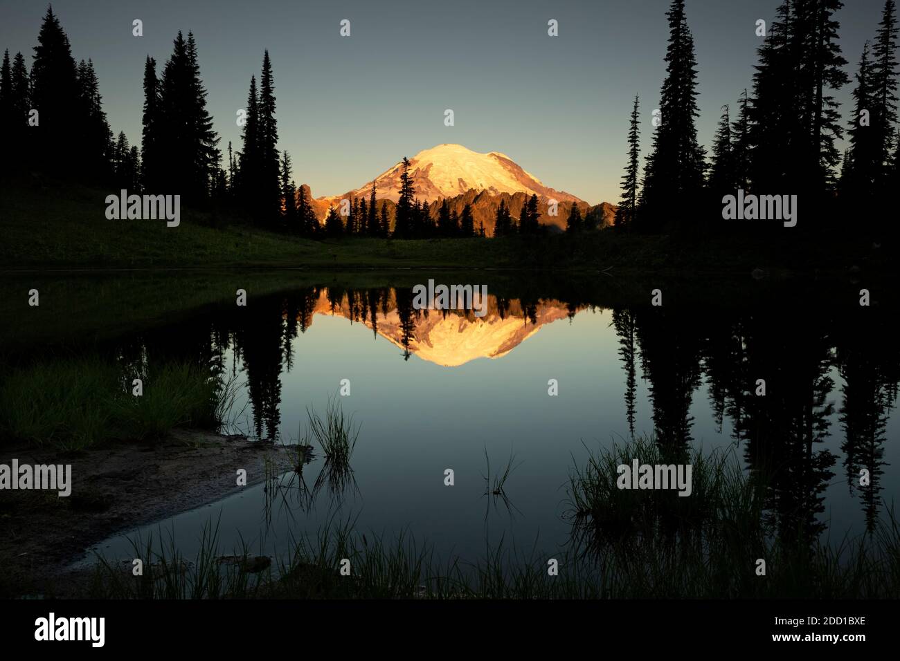 WA18433-00...WASHINGTON - Mount Rainier Reflecting in Tipsoo Lake at Sunrise in Mount Rainier National Park. Stockfoto