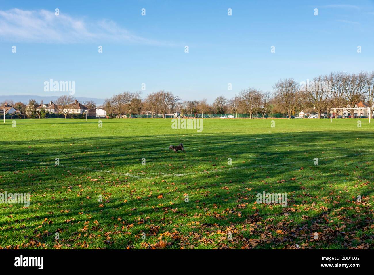 Der Victory Sports Ground in Sutton Road, Southend on Sea, Essex, Großbritannien. Leer bei COVID 19-Sperre. Keine Sportmöglichkeiten. Hund wird gelaufen Stockfoto
