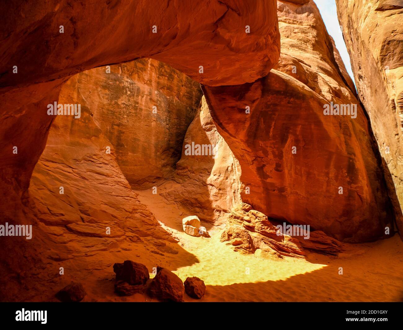 Sand und rote Steine machen alles orange, Arches National Park, Utah, USA Stockfoto