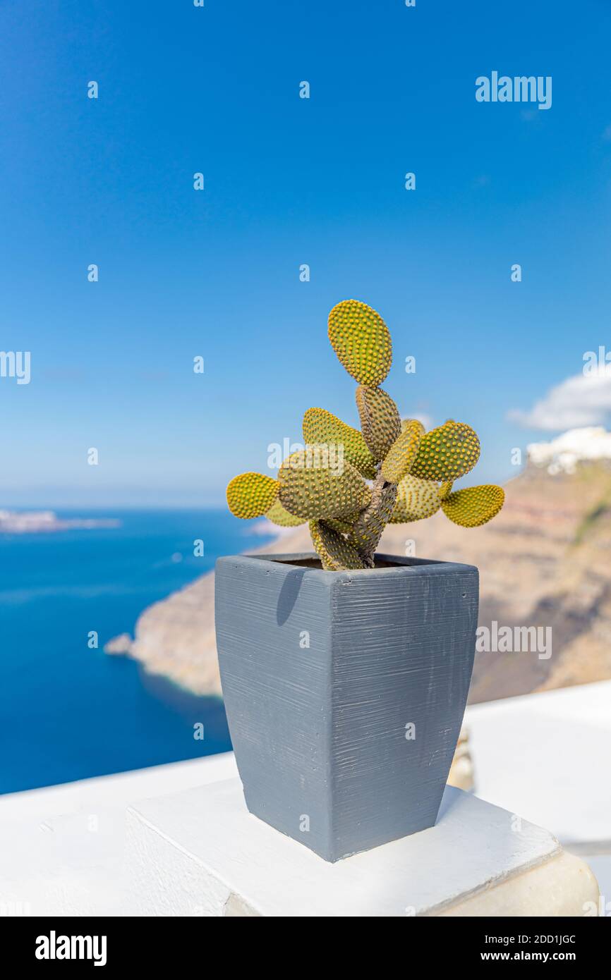 Street Photography in Fira Streets in Santorini. Terrasse mit Meerblick Stockfoto