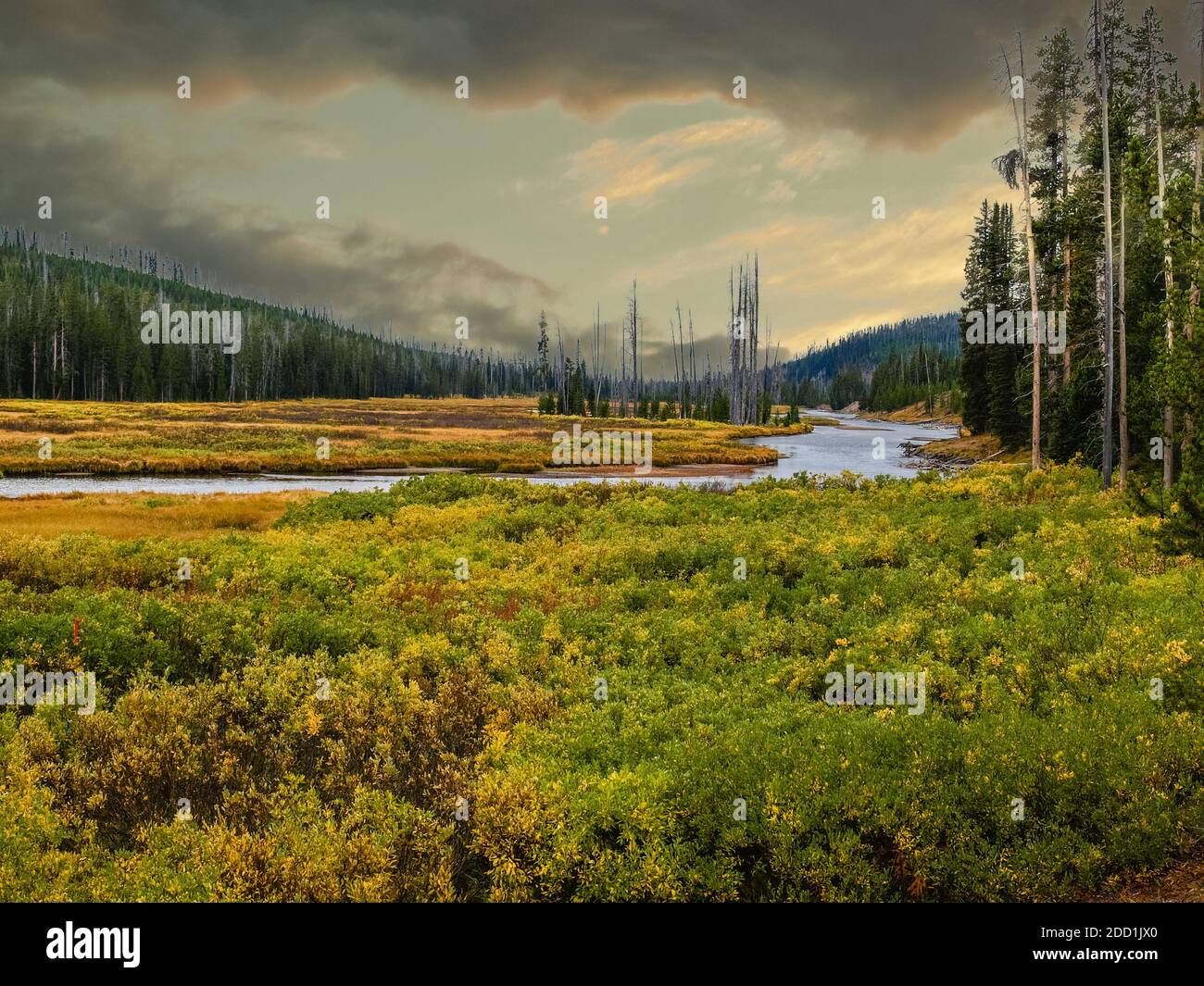 Wunderschöner Schlangenfluss im Morgengrauen, Yellowstone National Park, USA Stockfoto