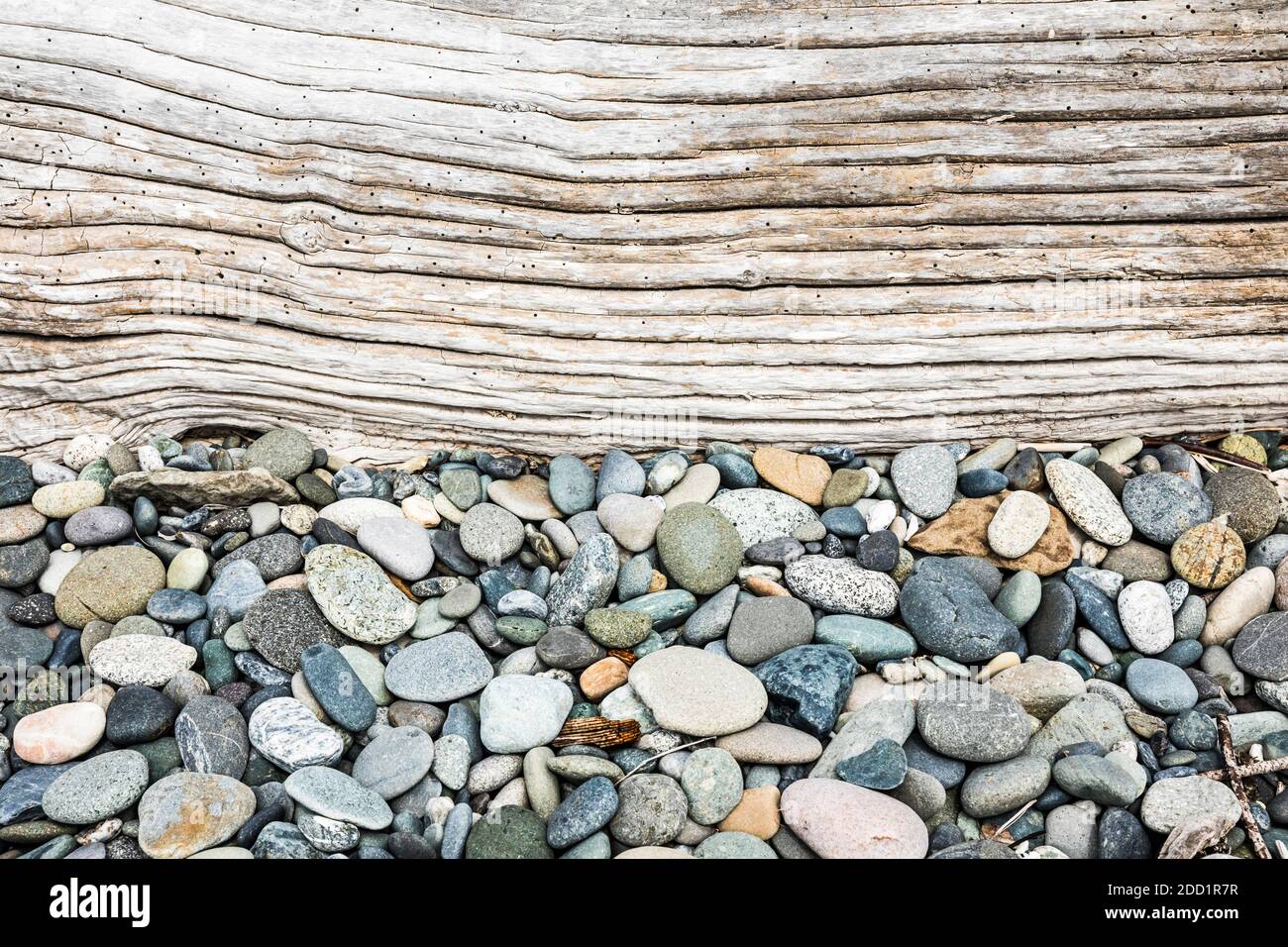 Textures Along Ebey's Landing Bluff Trail, Whidbey Island, Washington, USA. Um das vollständige Bild zu sehen, siehe Profil. Stockfoto