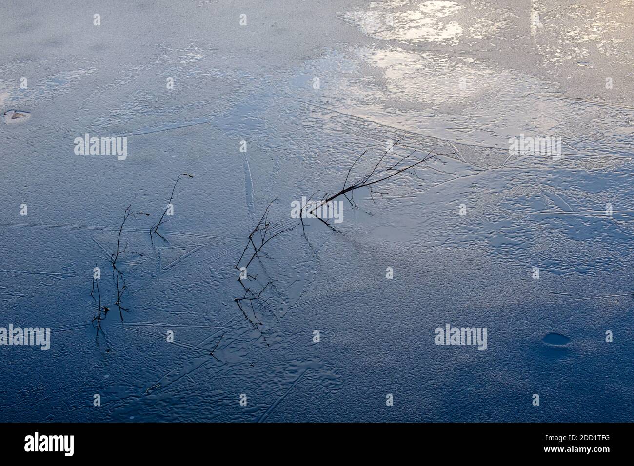 Die Oberfläche eines Teiches friert über, als der Herbst zum Winter wird. Über dem Wasser bildet sich Eis, aus dem abstürzte Äste hervorgehen. Stockfoto