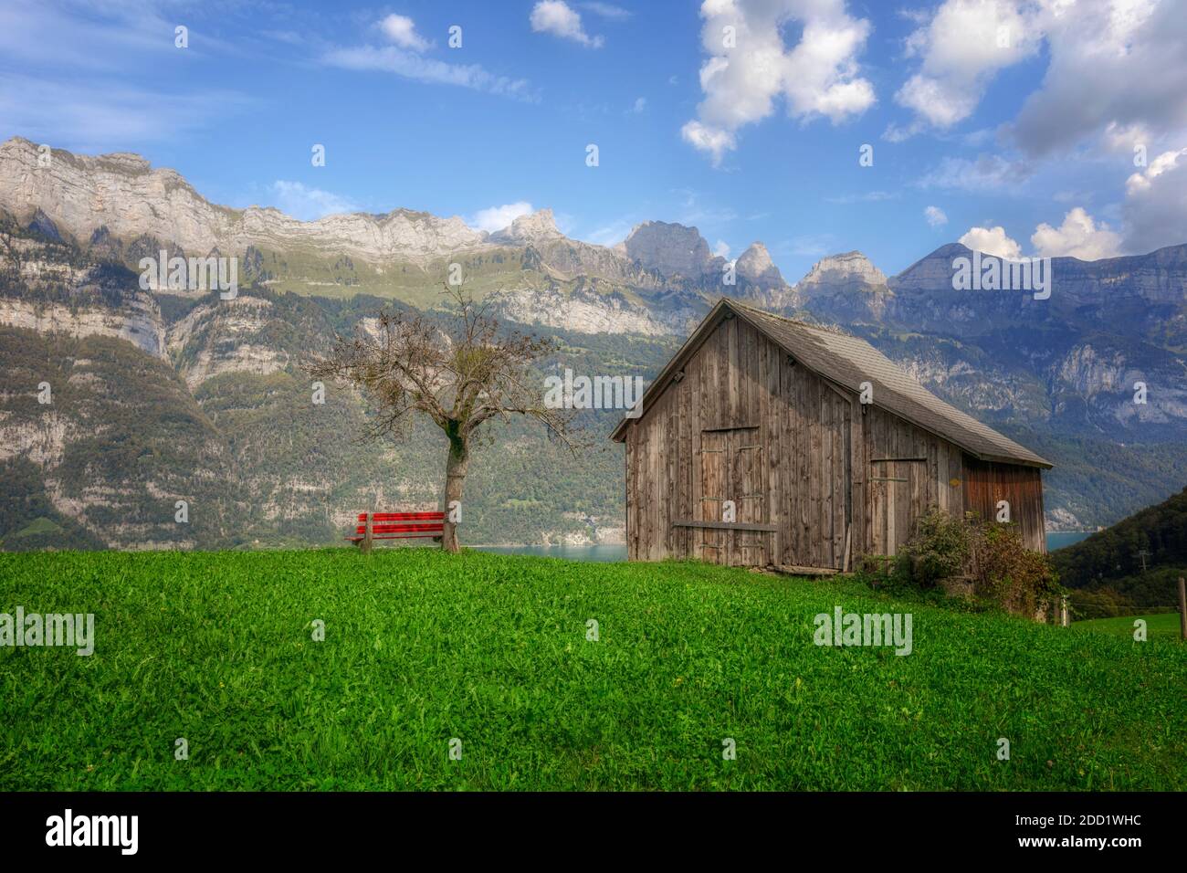 Walensee, Quarten, St. Gallen, Schweiz, Europa Stockfoto