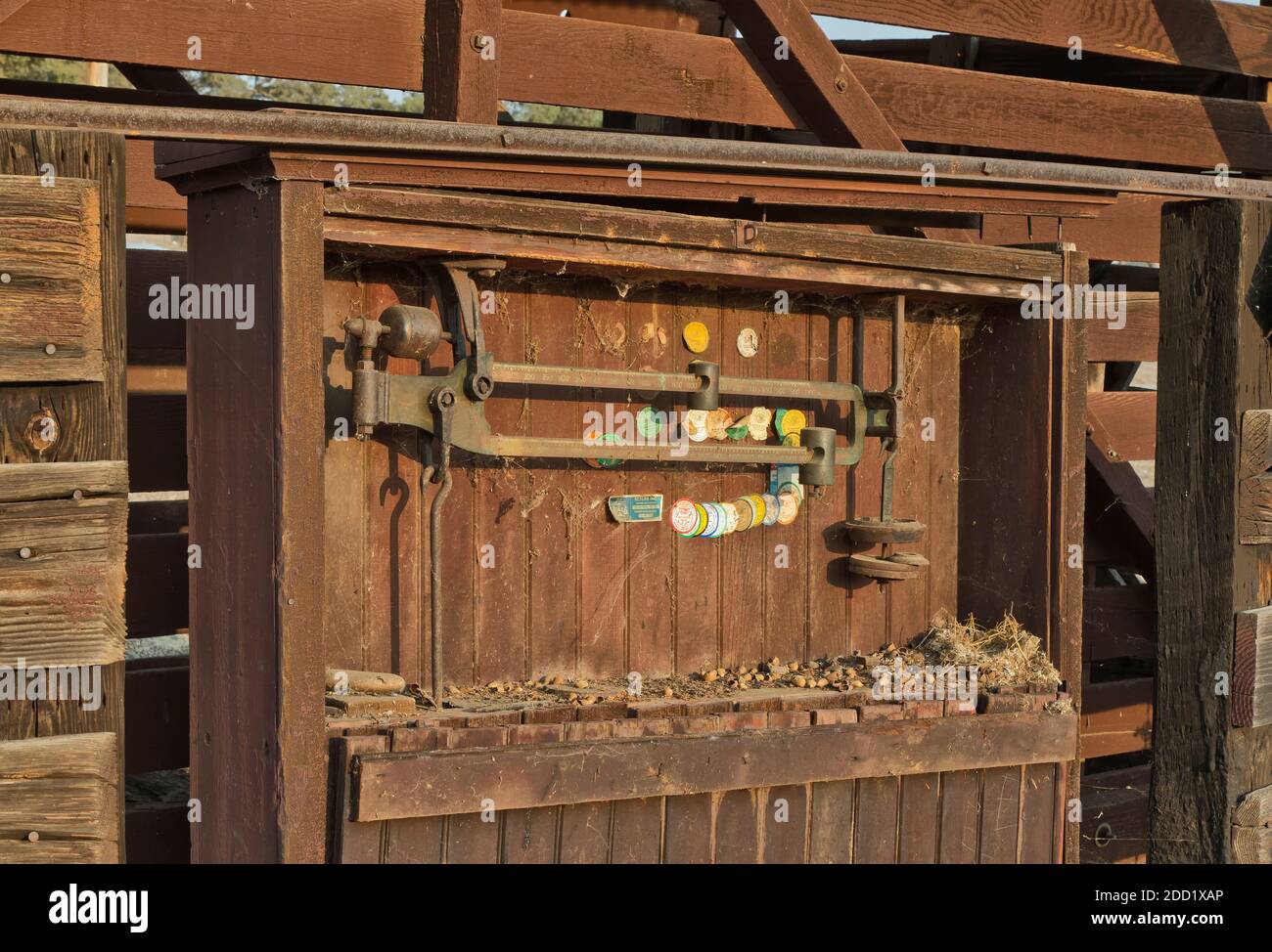 Verlassene alte „im Boden“-Tierwaage, Gewichtungs- und Maßsiegel 1959 - 2001, historische landwirtschaftliche Geräte, Kalifornien. Stockfoto