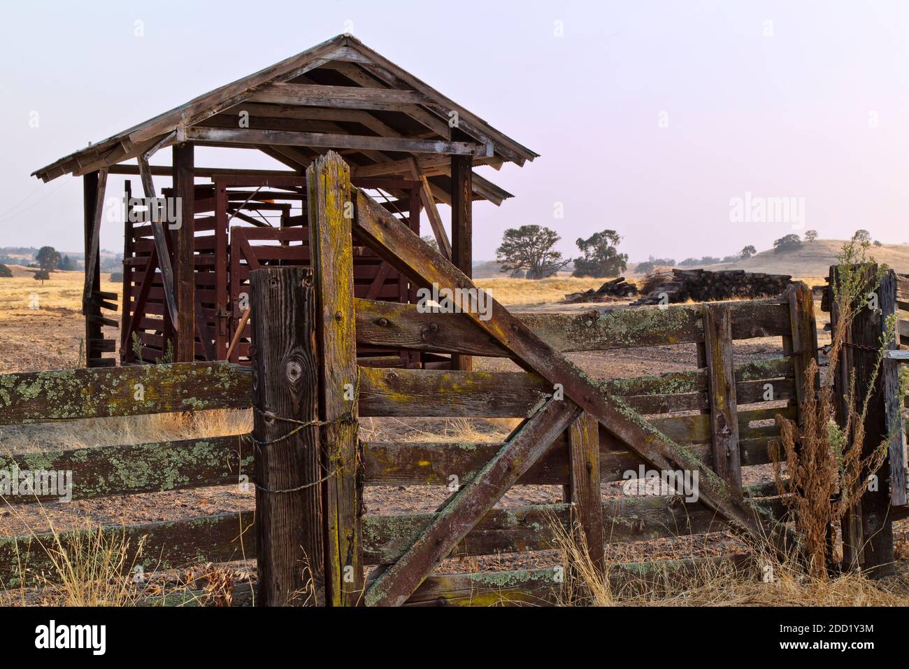 Antiquiertes „in Ground“ Livestock Scalehouse, Gewichte & Messungen Zertifizierungssiegel 1959 - 2001, verlassene Farm Equipment California. Stockfoto