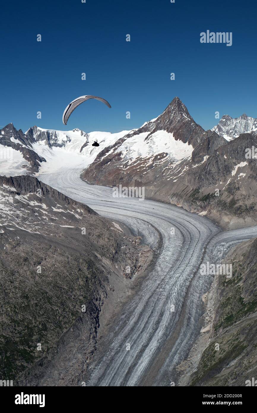 Gleitschirm, der einen Ozonflügel über dem Fieschgletscher mit dem Finsteraarrothorn im Hintergrund fliegt. Schweiz. Stockfoto