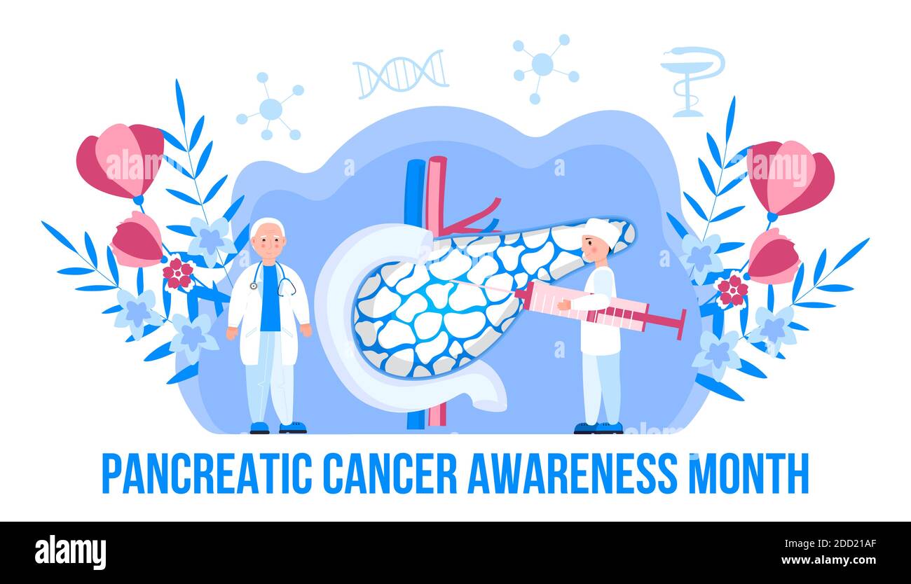 Der Pankreaskrebs-Awareness-Monat wird am November in den USA organisiert. Pankreas Ärzte untersuchen. Winziger Therapeut behandeln Patienten. Gesundheit flach Konzept ve Stock Vektor