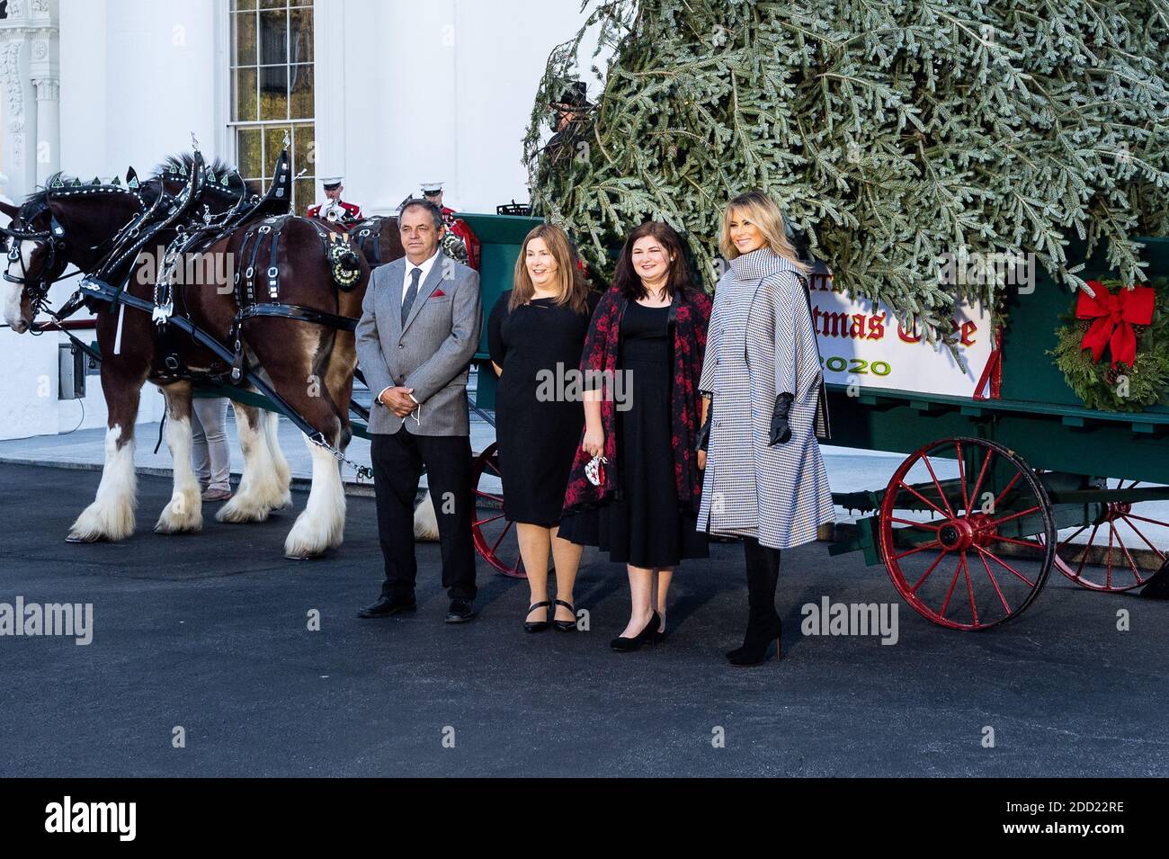 First Lady Melania Trump posiert für ein Foto mit der Familie Taylor neben einer Pferdekutsche, die den Weihnachtsbaum des Weißen Hauses trägt. Stockfoto