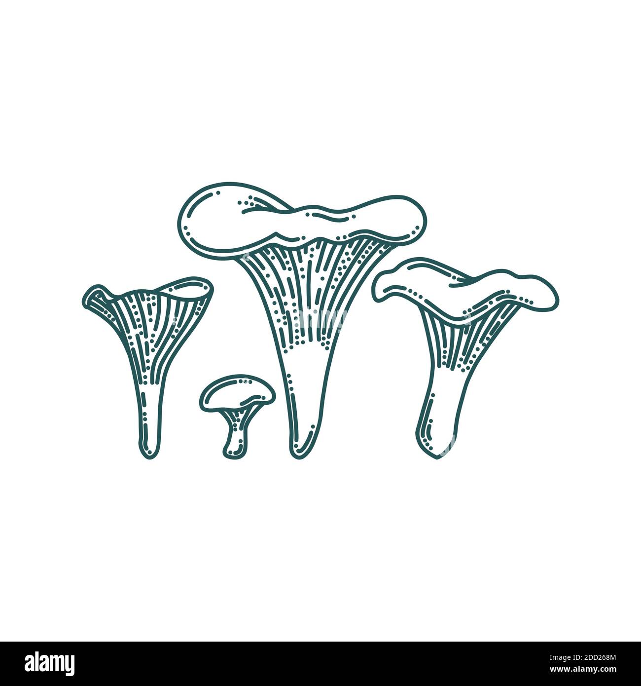 Pfifferlinge Pilze im Doodle-Stil. Wald- oder Bauernpilze unterschiedlicher Größe. Doodle Vektorgrafik Stock Vektor