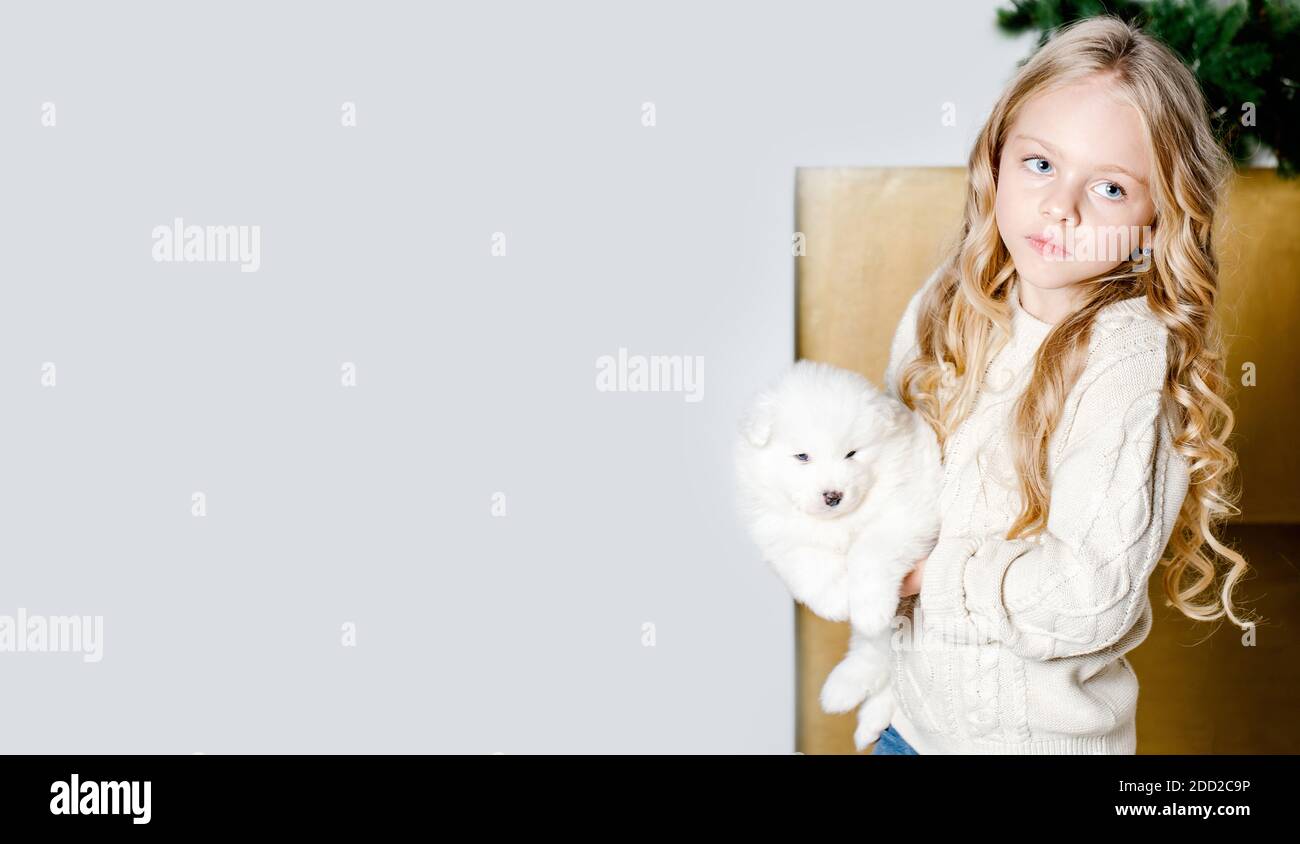 Kind mit Hund Welpe Samoyed auf einem hellen Hintergrund. Haustier und Kinder Konzept. Haustier im Kindesalter. Banner. Stockfoto