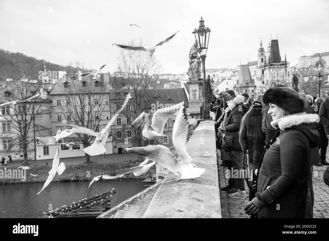 Frau, die Möwen in der Carlos-Brücke von Prag im Winter füttert Stockfoto