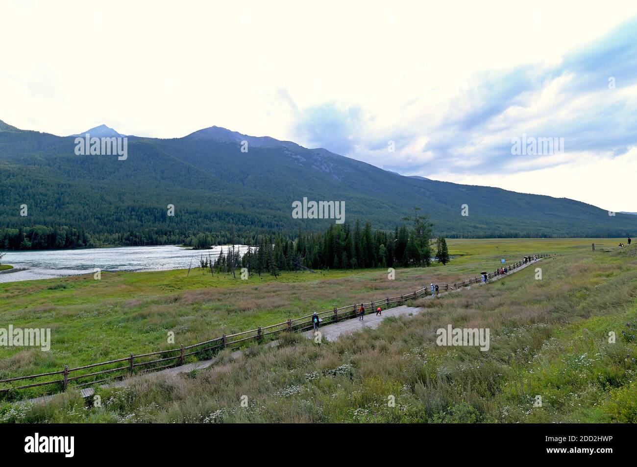 Wanderweg entlang des Kanas-Flusses, malerische Gegend am Kanas-See, Nord-Xinjiang, China Stockfoto