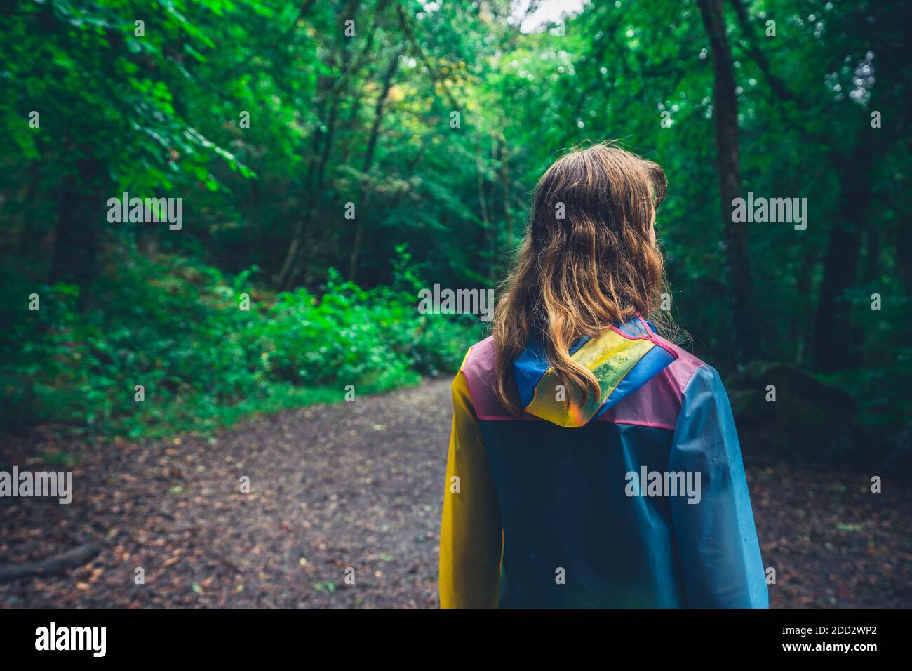 Eine junge Frau, die einen Regenmantel trägt, geht in der Wald im Herbst Stockfoto