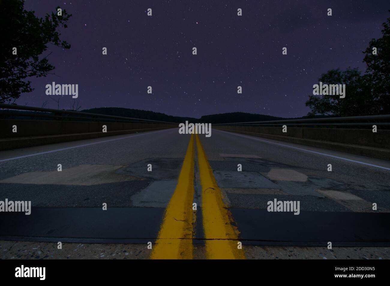 Eine Low-Angle-Aufnahme einer Straße bei Nacht mit Bäume auf jeder Seite und Sterne am Himmel Stockfoto