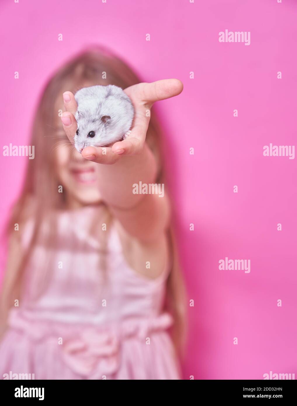 Ein schönes Mädchen in einem weichen rosa Kleid hält ein Dzungarian Hamster in ihren Händen und lächelt auf einem rosa Hintergrund Stockfoto