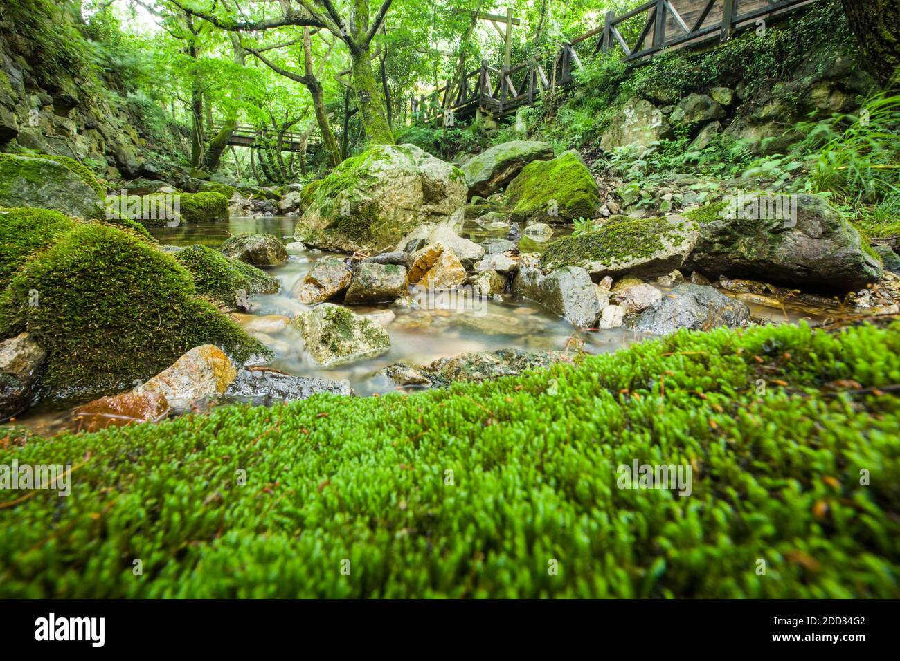 Zhoushan Stadt, Zhejiang Provinz, Ost-China Meer Grand Canyon Bäche Stockfoto