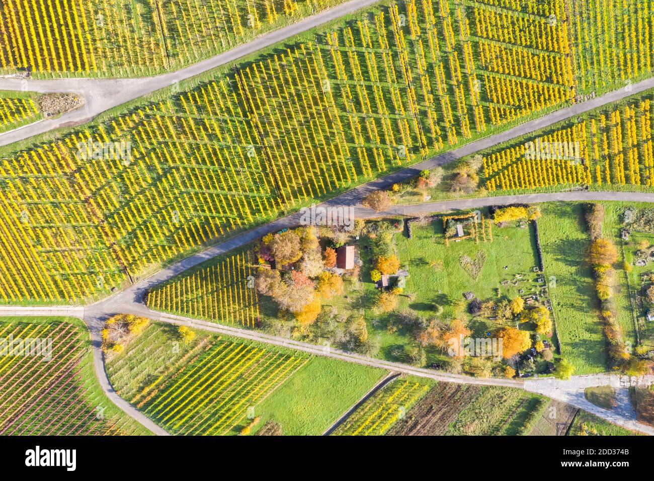 Weinberge Wein Herbst Jahreszeit Natur Luftbild Ansicht in Deutschland Stockfoto
