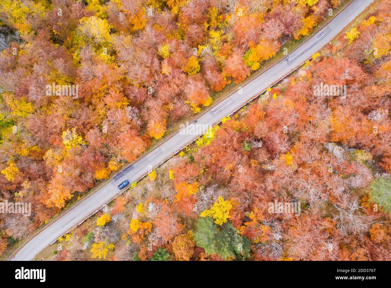 Herbst Herbst Wald Wälder bunte Blätter Saison Luftbild Ansicht Straße in Deutschland Stockfoto