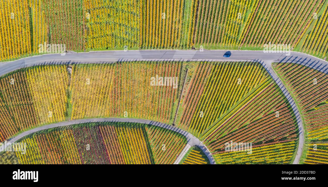 Weinberge Wein Herbst Saison Luftbild Panoramablick Natur In Deutschland Stockfoto