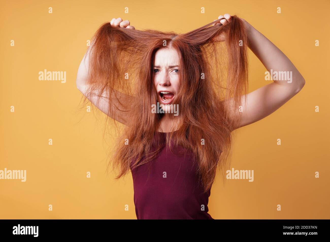 Frustrierte junge Frau zieht und reißt ihr langes rotes Haar An einem Tag mit schlechten Haaren Stockfoto