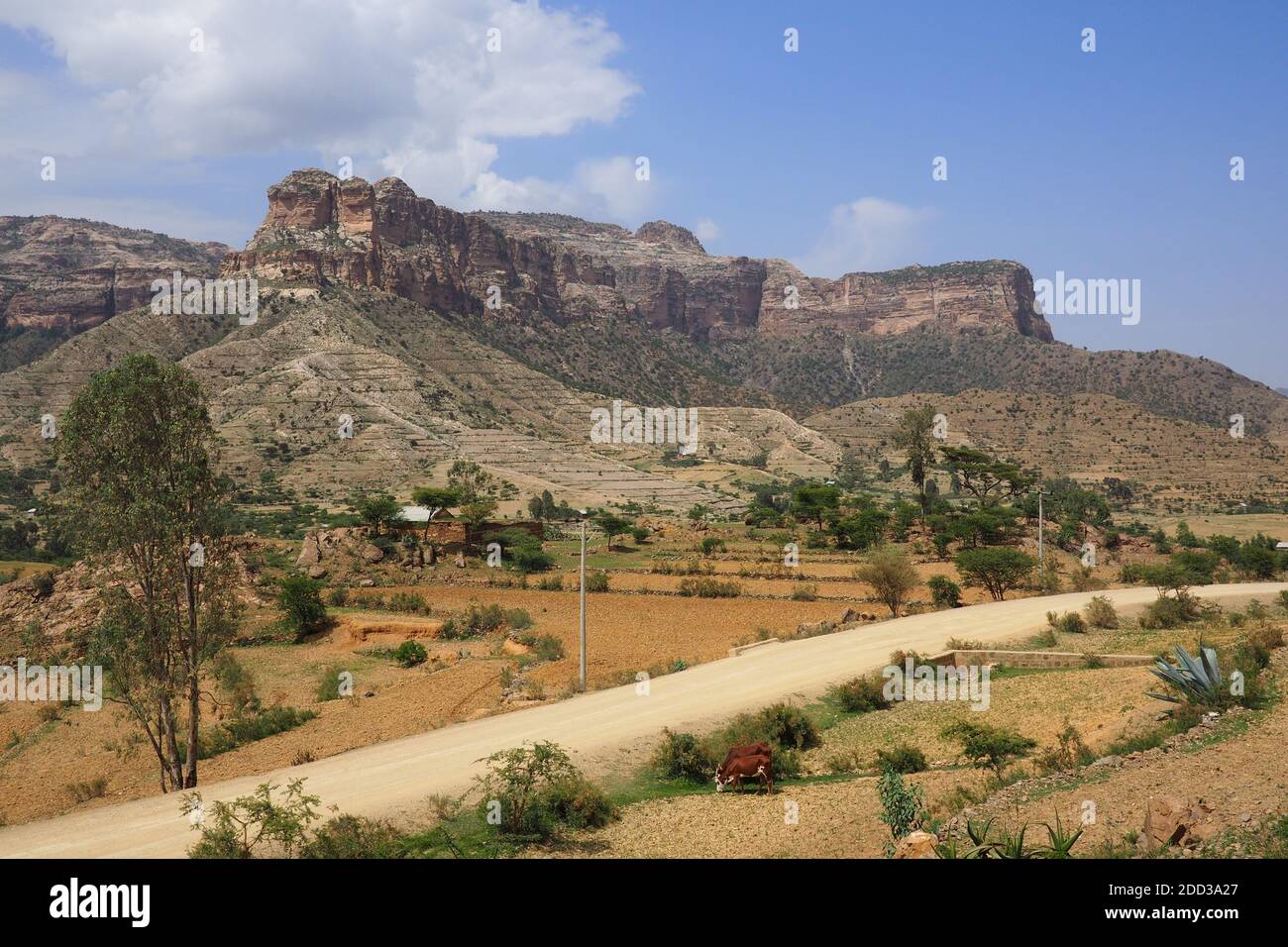 Tigray, Äthiopien - 14. August 2018. : EINE unbefestigte Straße in der Region Tigray in Äthiopien Stockfoto