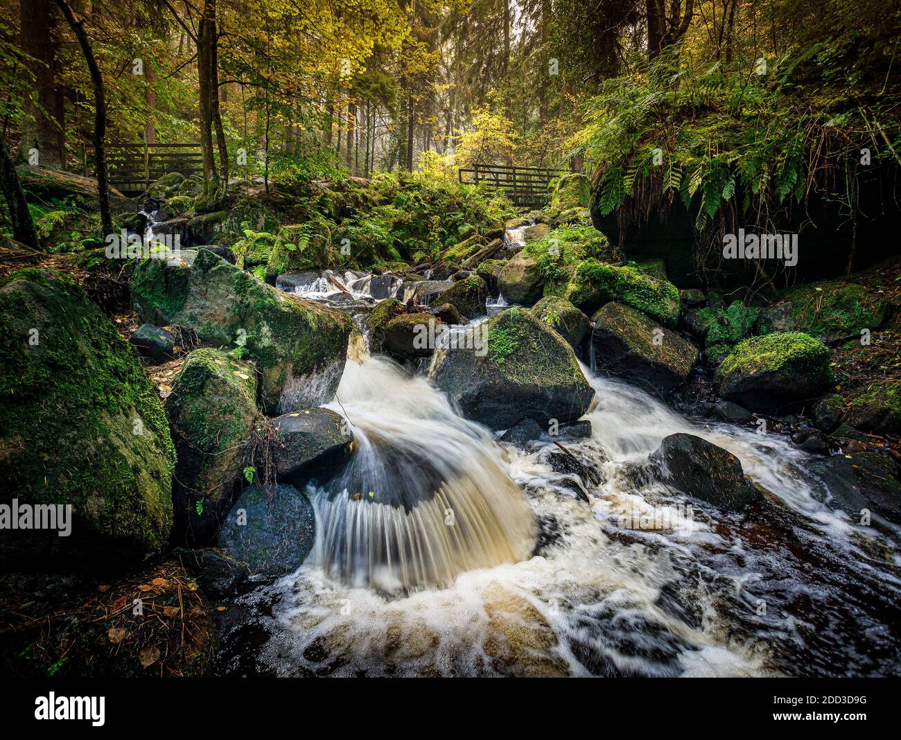 Der kaskadierende Bach am Wyming Brook Stockfoto