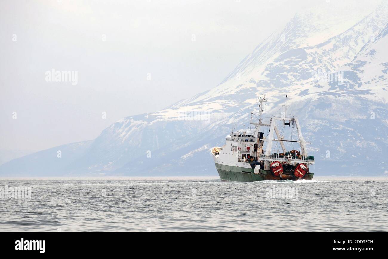 Tiefseefischen im Norwegischen Meer an Bord des Trawlers „Grande Hermine“ im Jahr 2011. La Grande Hermine, Fabriktrawler der Compagnie des Pech Stockfoto