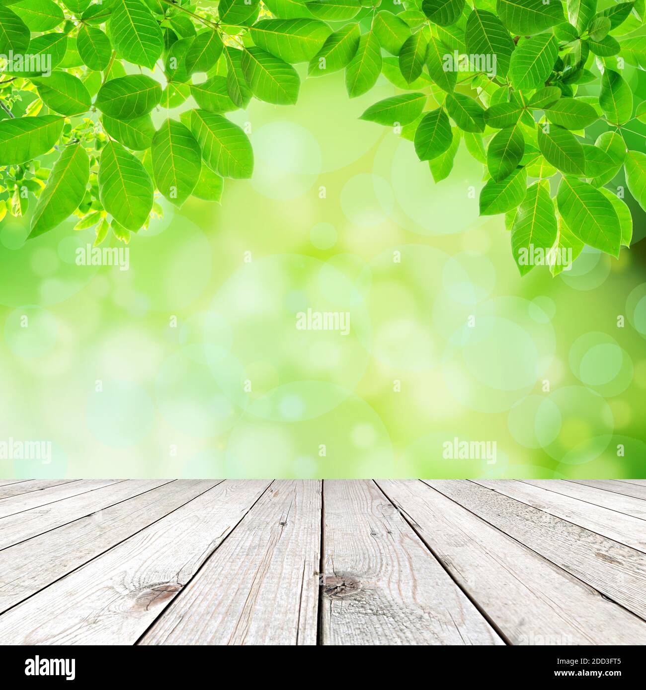 Holzdeck mit natürlichen grünen Blättern und Bokeh Hintergrund Stockfoto
