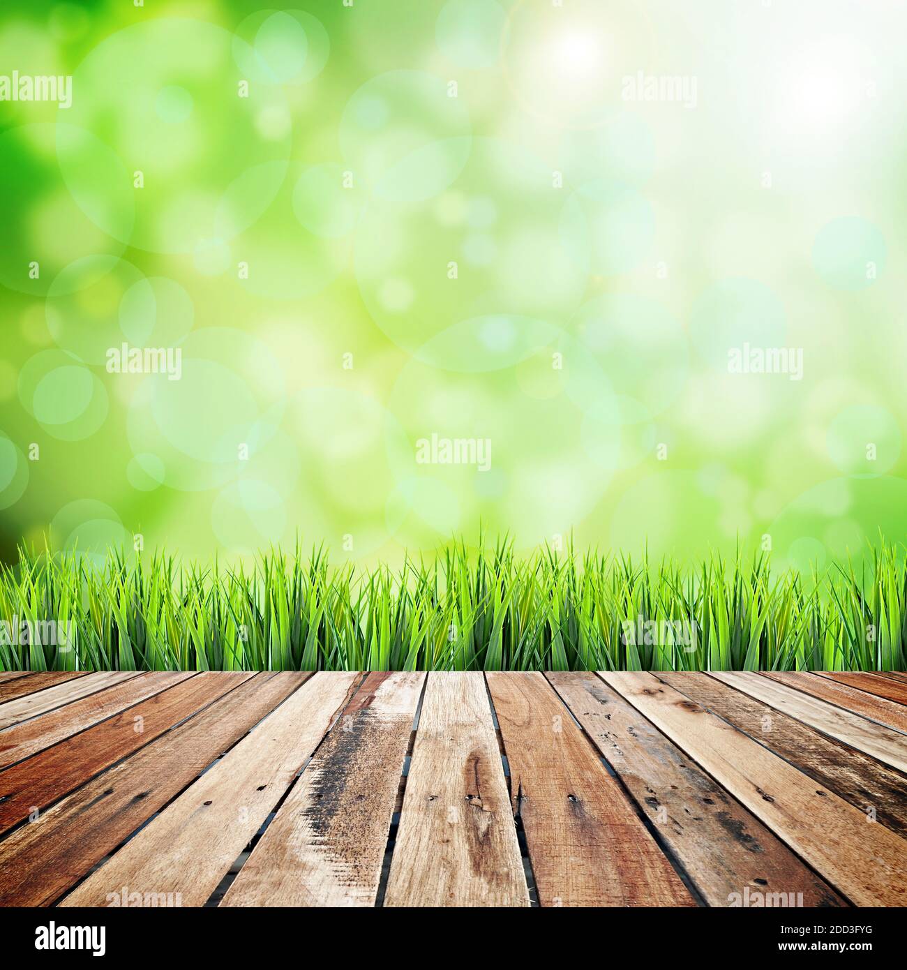 Holzdeck mit natürlichem grünen Gras und Bokeh Hintergrund Stockfoto
