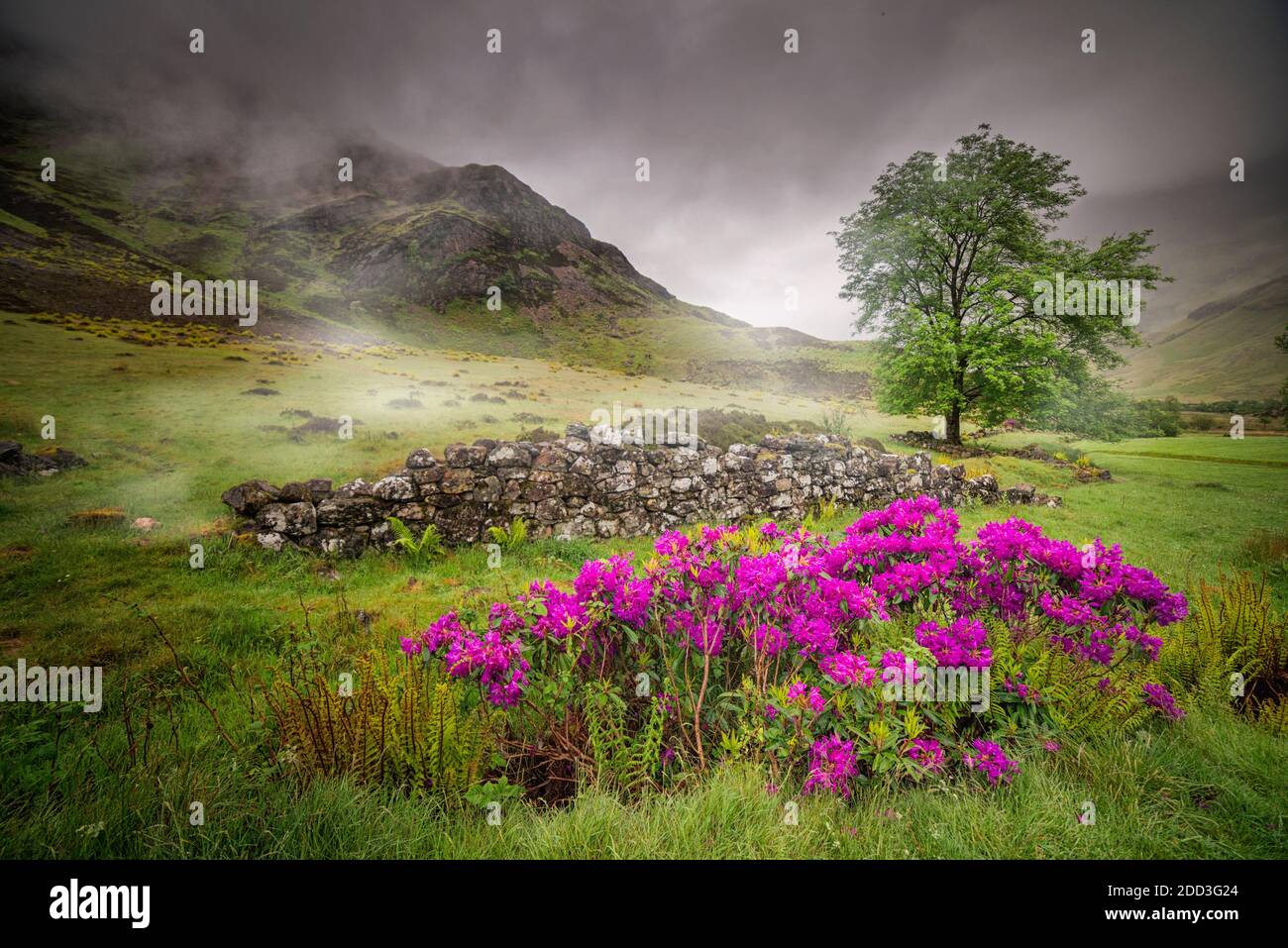 Blick auf das Tal Glencoe, Schottland Stockfoto