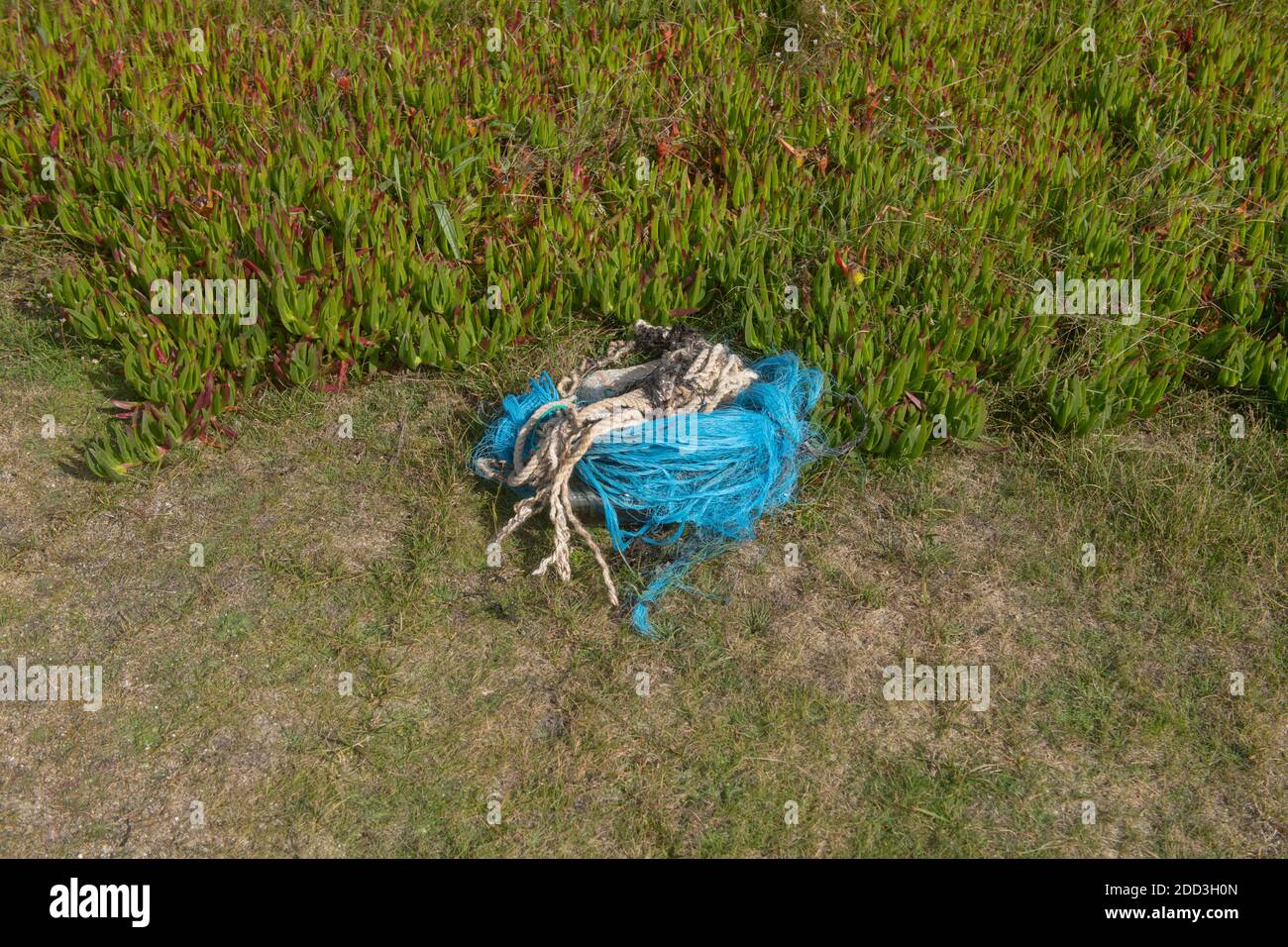 Haufen Meeresverschmutzung durch Seil, blaues Nylon-Fischernetz und eine Glasweinflasche, die an einem Strand auf der Insel Bryher in den Inseln von Scilly gesammelt wurde Stockfoto