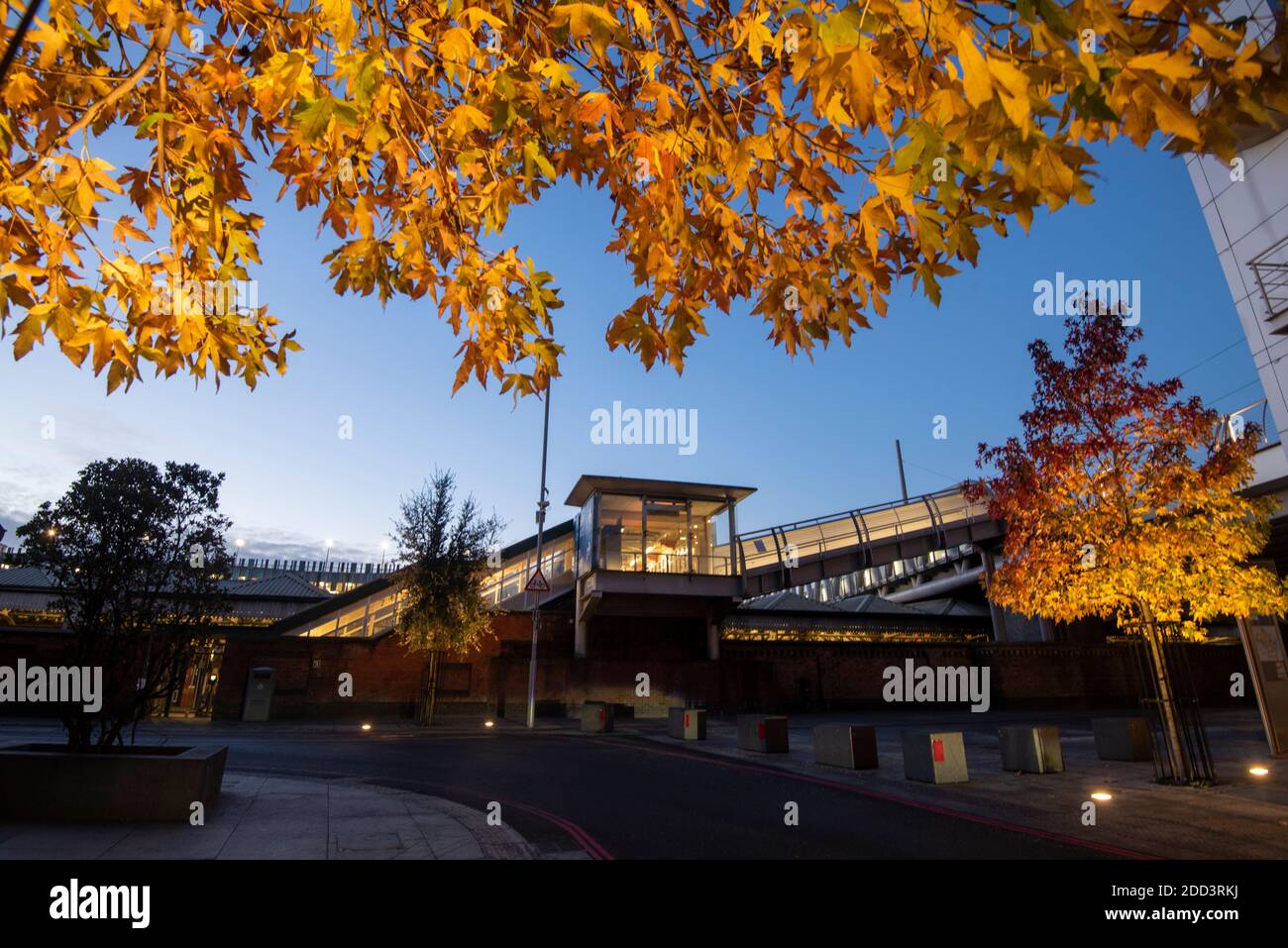 Herbstbäume vor dem Loxley House in der Station Street im Stadtzentrum von Nottingham, Nottinghamshire England Stockfoto