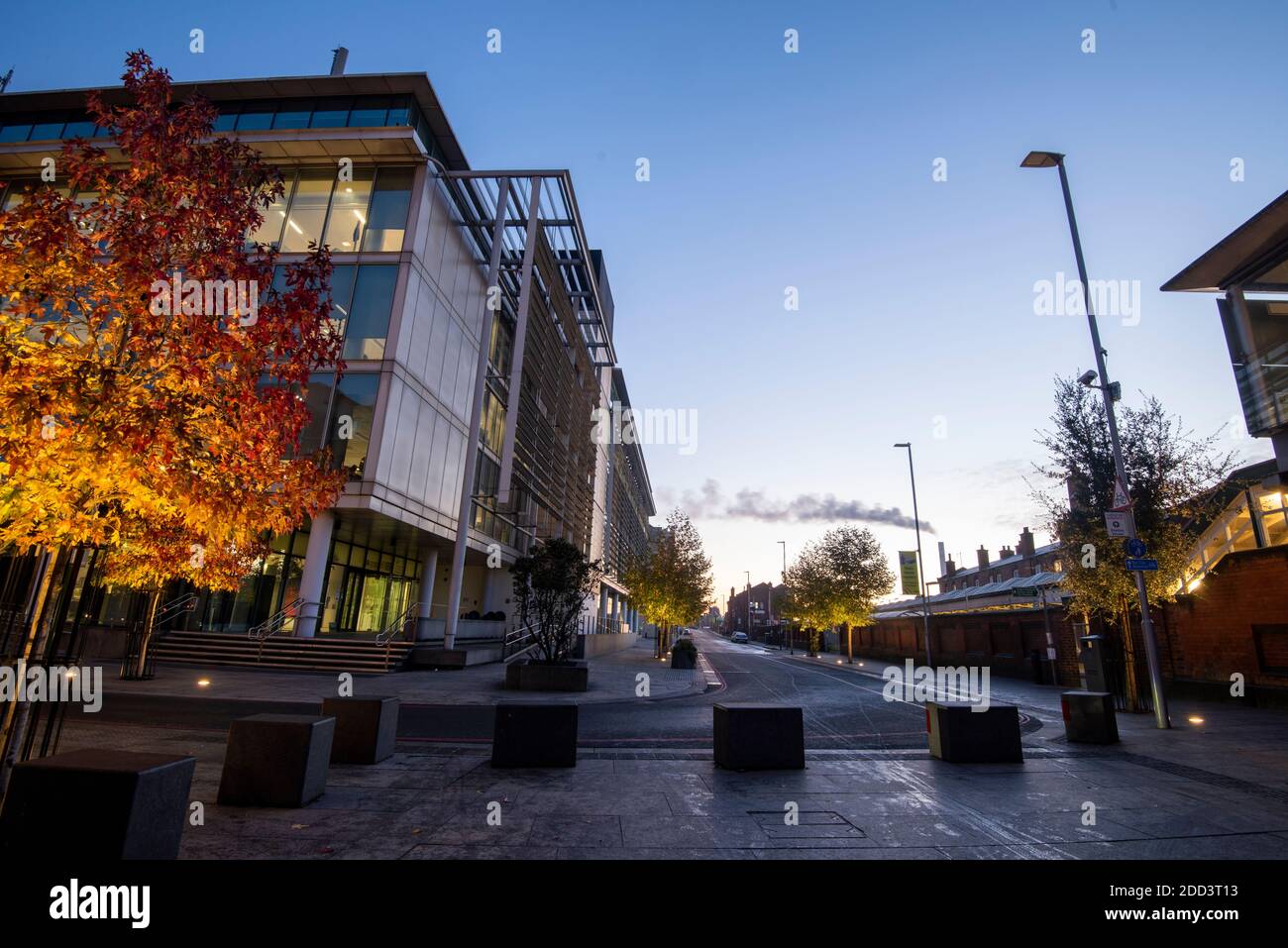 Herbstbäume vor dem Loxley House in der Station Street im Stadtzentrum von Nottingham, Nottinghamshire England Stockfoto