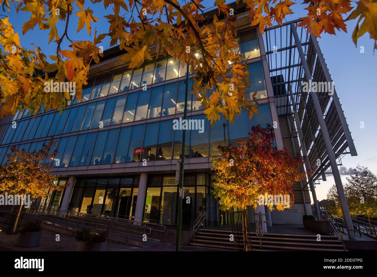 Herbstbäume vor dem Loxley House in der Station Street im Stadtzentrum von Nottingham, Nottinghamshire England Stockfoto