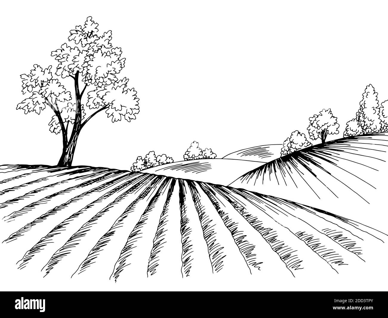Feldgrafik schwarz weiß Landschaft Skizze Illustration Vektor Stock Vektor