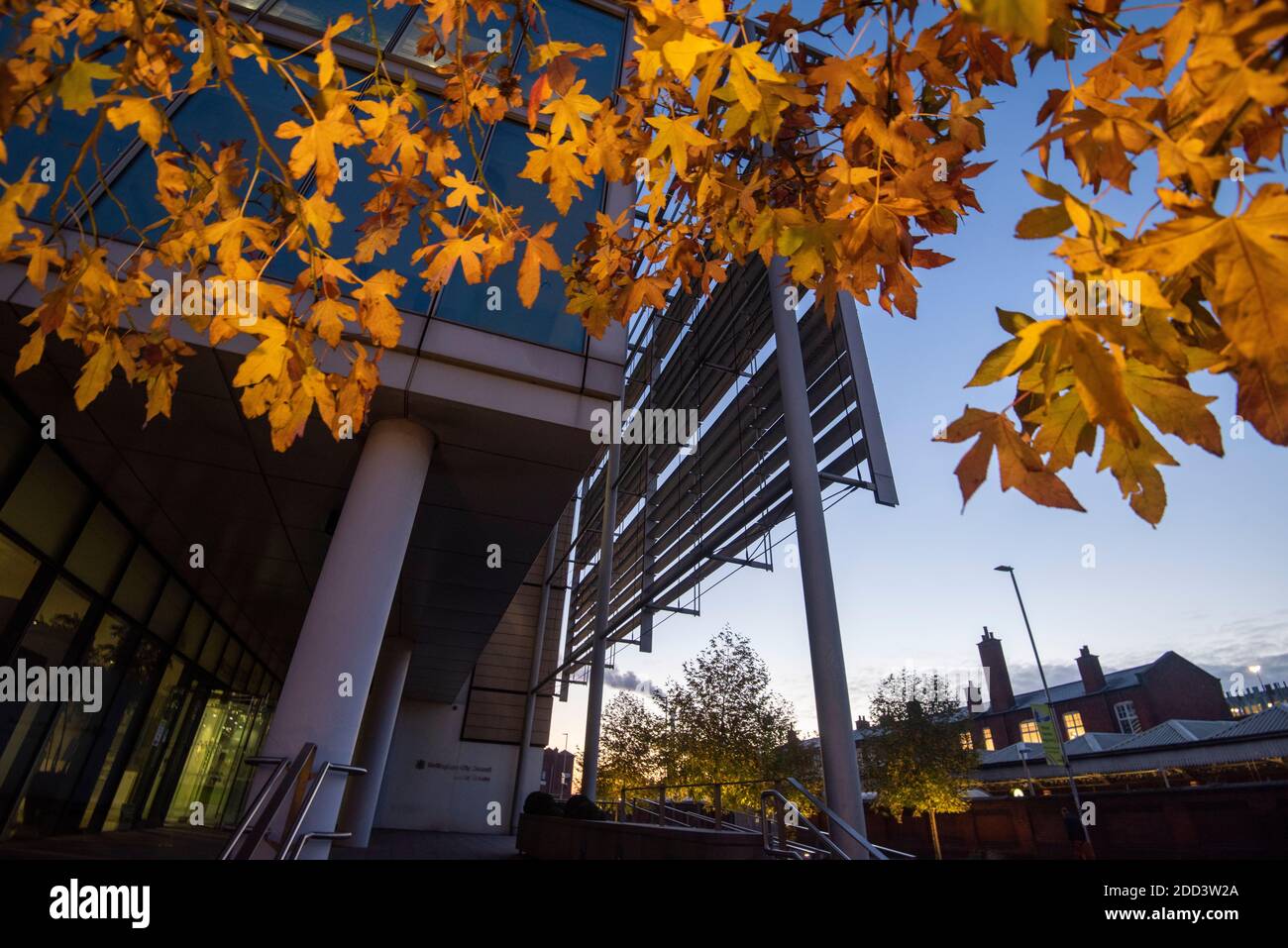 Herbstbäume vor dem Loxley House in der Station Street im Stadtzentrum von Nottingham, Nottinghamshire England Stockfoto