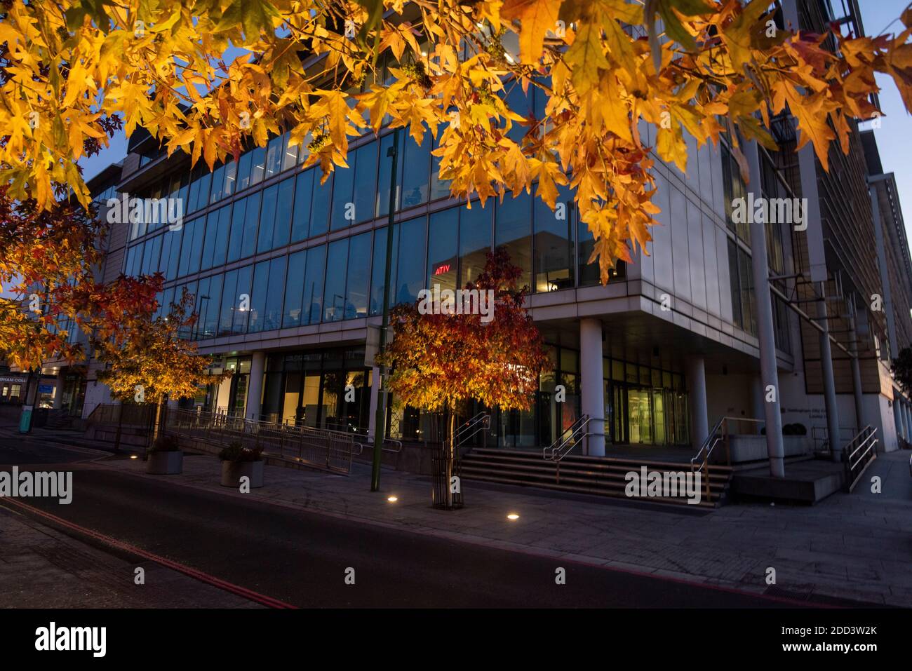 Herbstbäume vor dem Loxley House in der Station Street im Stadtzentrum von Nottingham, Nottinghamshire England Stockfoto