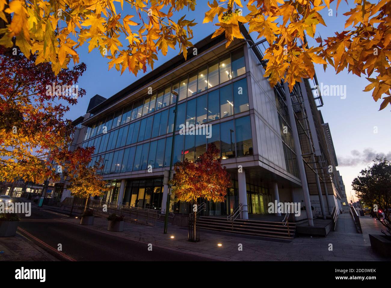 Herbstbäume vor dem Loxley House in der Station Street im Stadtzentrum von Nottingham, Nottinghamshire England Stockfoto