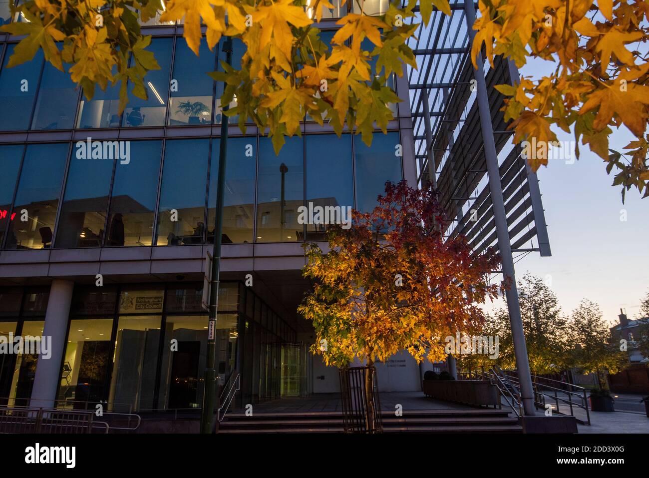 Herbstbäume vor dem Loxley House in der Station Street im Stadtzentrum von Nottingham, Nottinghamshire England Stockfoto