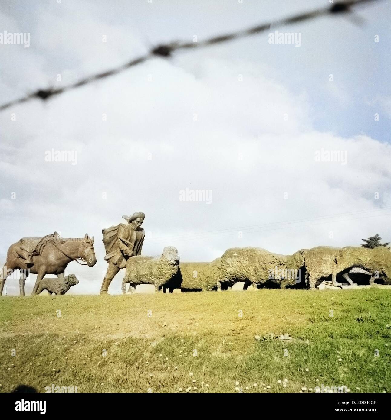 In der Stadt Punta Arenas, hier eine Skulptur eines Schäfers mit seiner Herde, 1957. In der Stadt Punta Arenas, hier Skulptur eines Shepheard und seine Schafe, 1957. Stockfoto