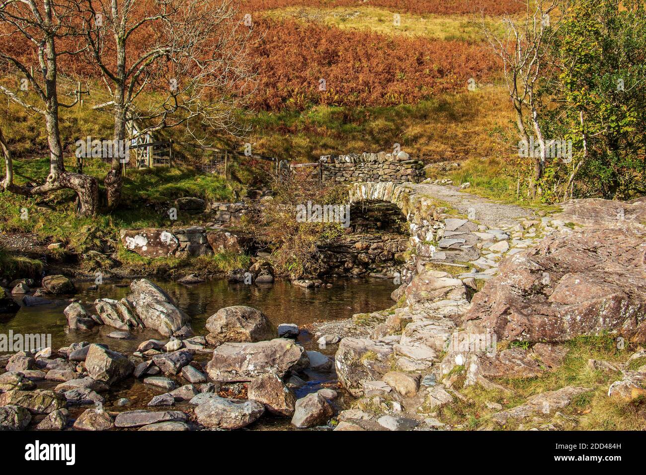 Herbst bei der High Sweden Bridge bei Ambleside auf Englisch Lake District Stockfoto