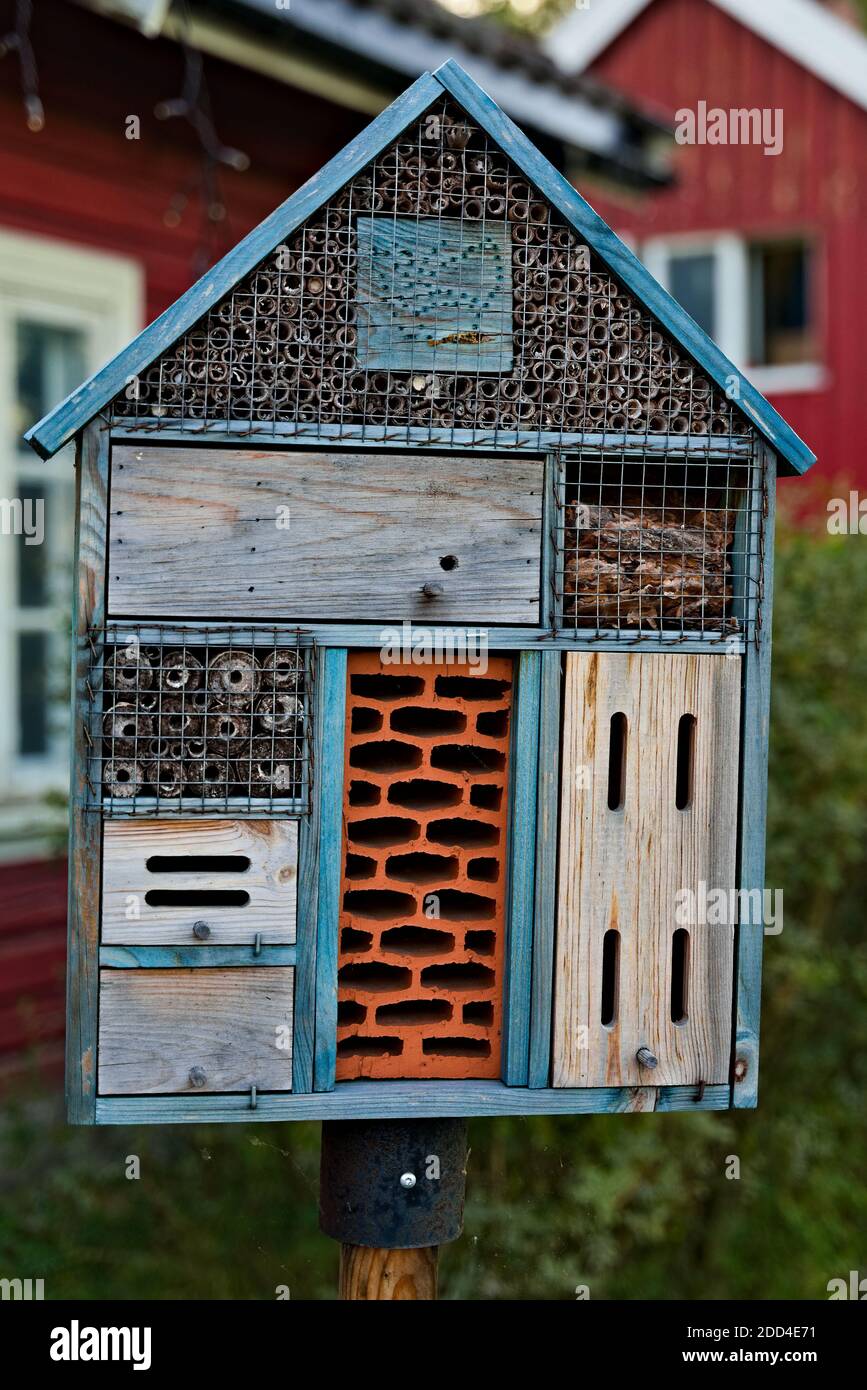 Insektenhotel in Form eines kleinen Hauses, das auf einer Stange vor einem Haus sitzt. Stockfoto